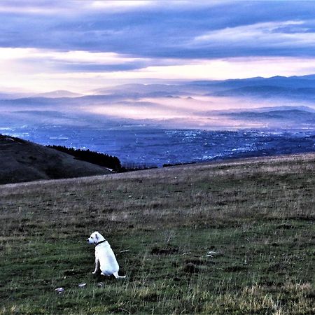 Da Franca Bed & Breakfast Assisi Dış mekan fotoğraf