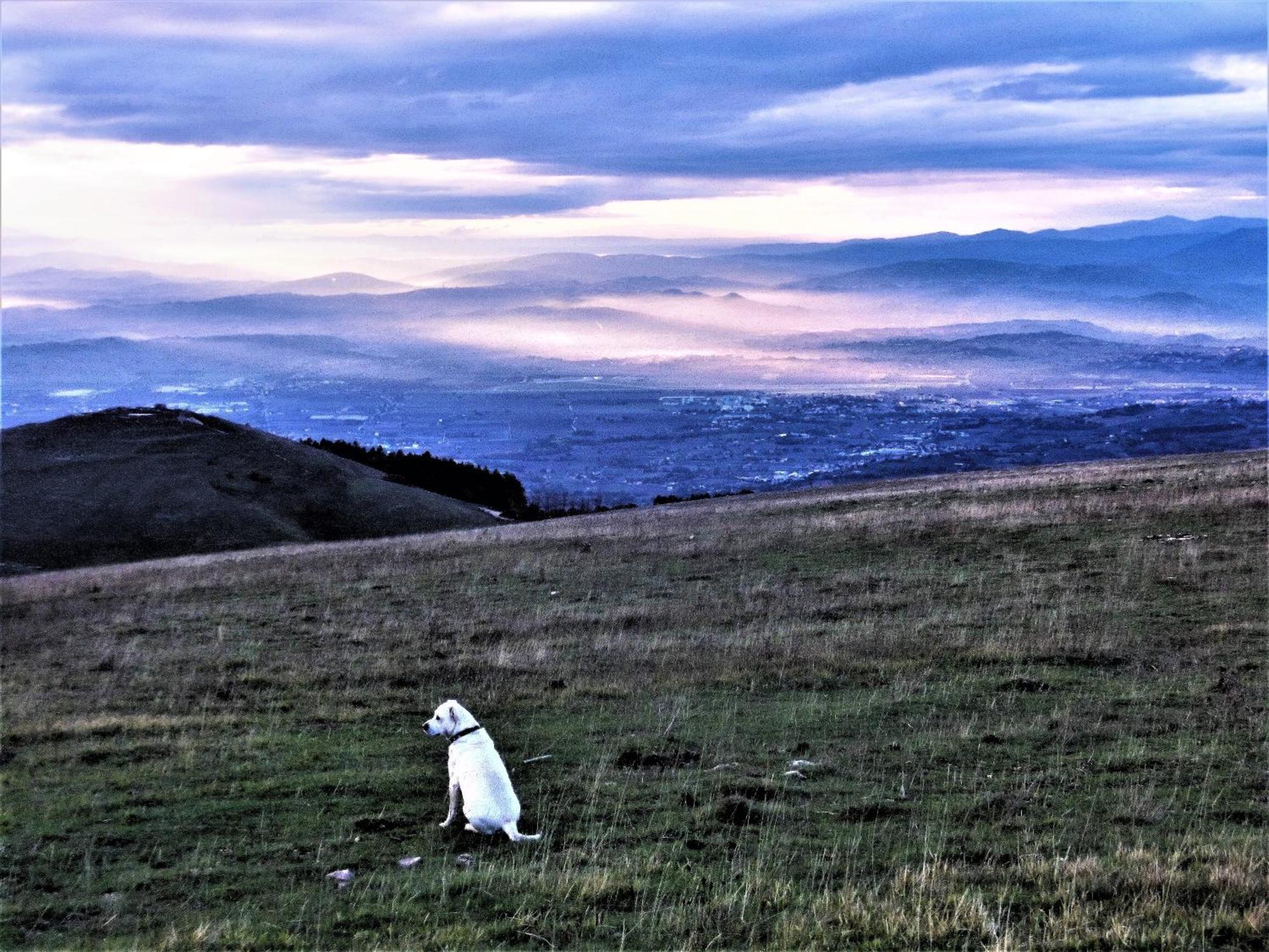 Da Franca Bed & Breakfast Assisi Dış mekan fotoğraf