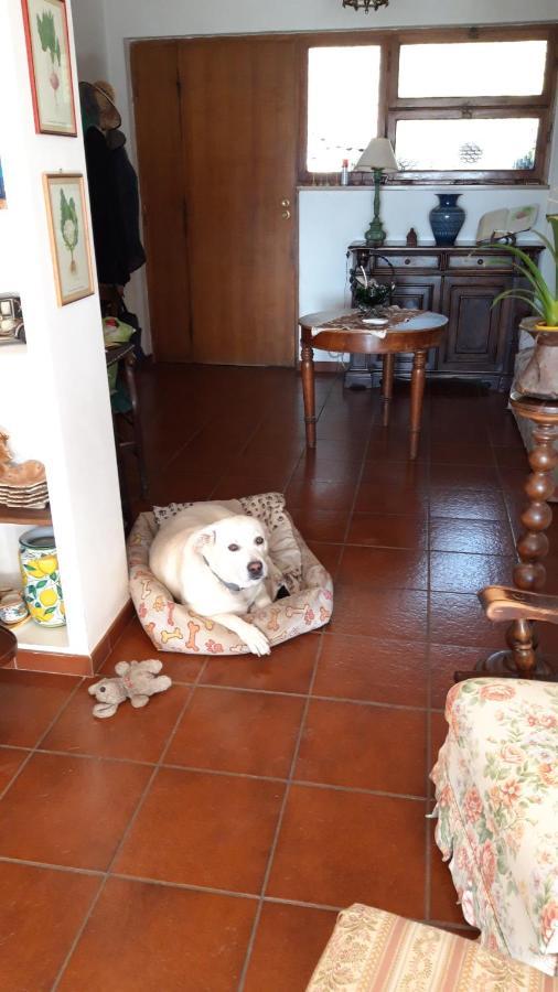 Da Franca Bed & Breakfast Assisi Dış mekan fotoğraf