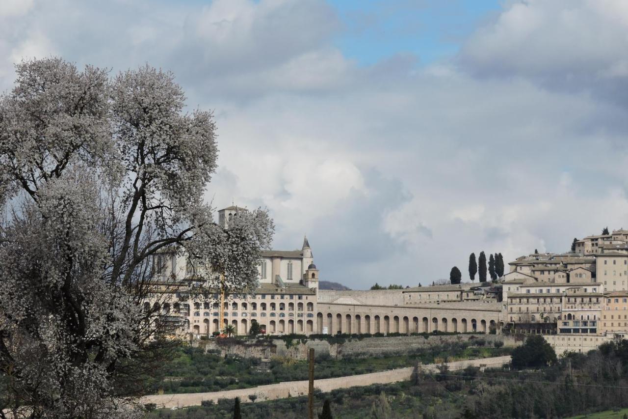 Da Franca Bed & Breakfast Assisi Dış mekan fotoğraf