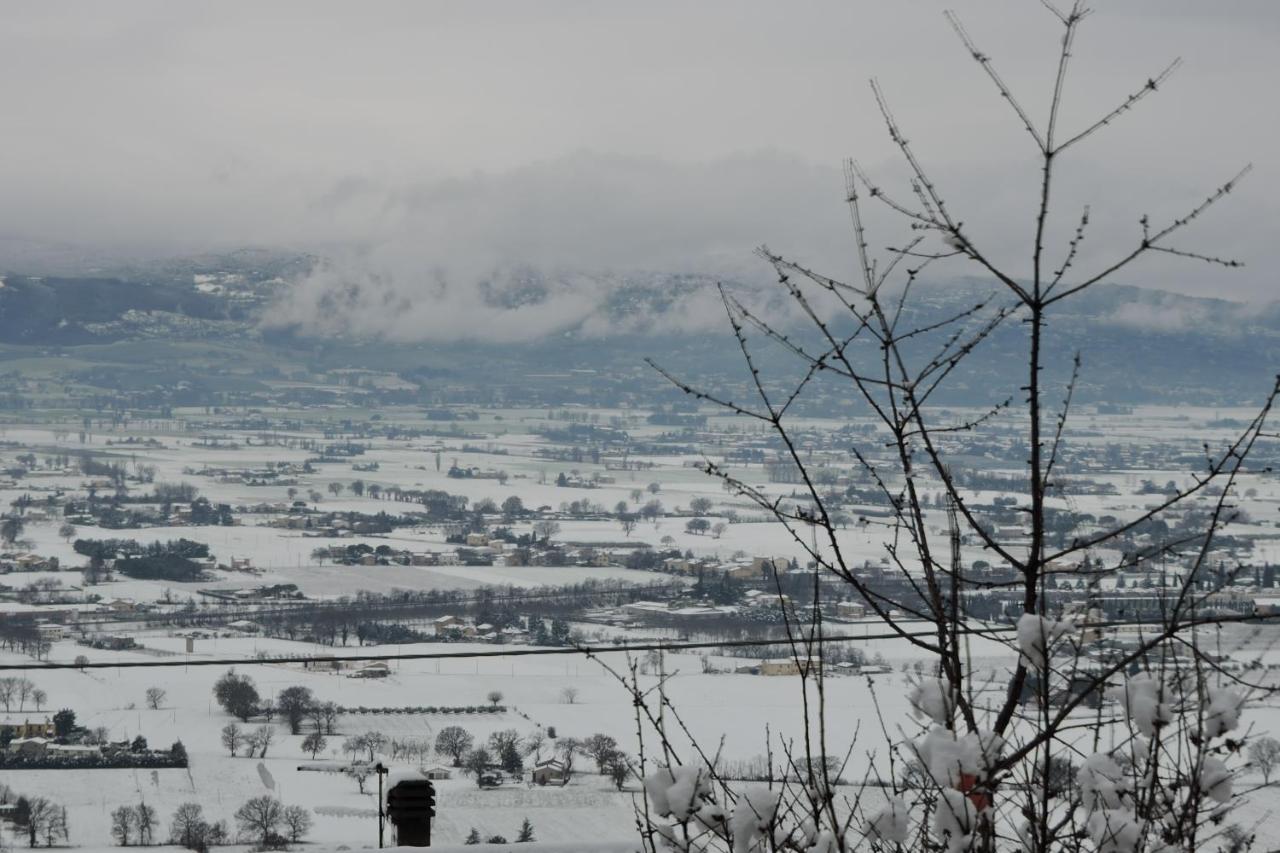 Da Franca Bed & Breakfast Assisi Dış mekan fotoğraf